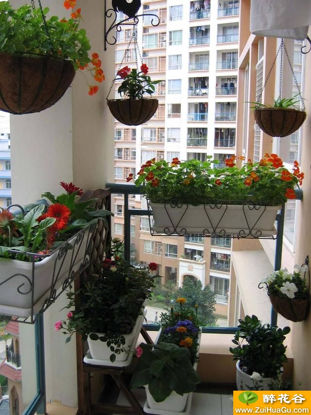 同样是阳台,你家的只用来晾衣晒被子,人家的活脱一个空中花园!