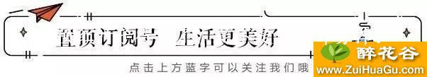 朱顶红叶子得病了,是不是要全部剪掉?