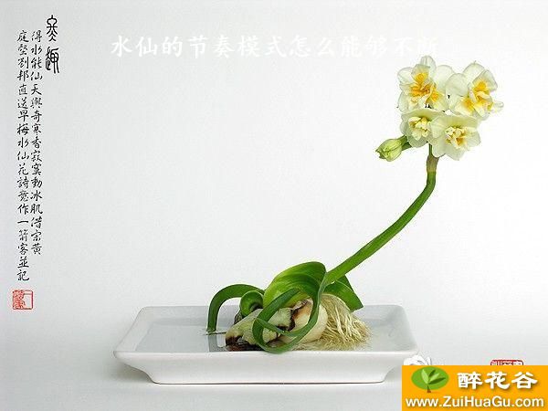 水仙的节奏模式怎么能够不断