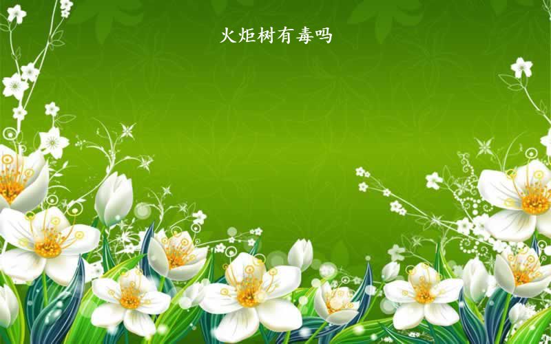 火炬树有毒吗