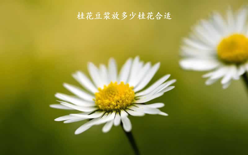 桂花豆浆放多少桂花合适