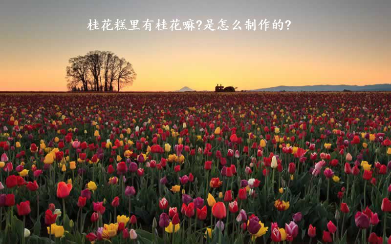 桂花糕里有桂花嘛?是怎么制作的?