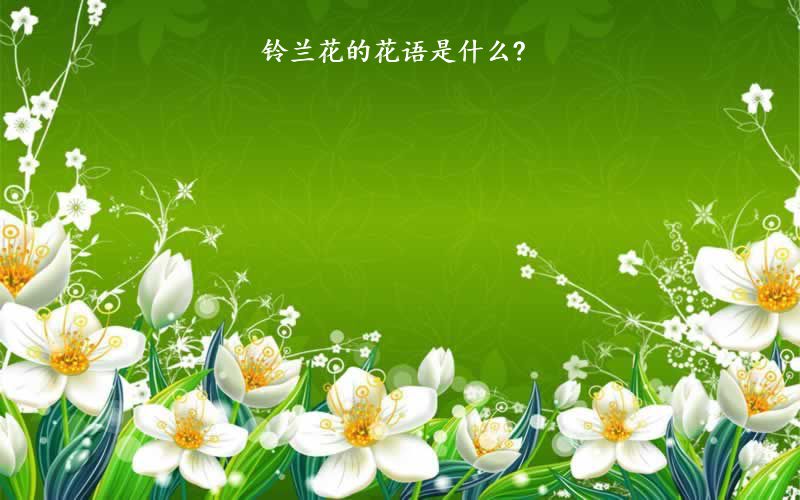 铃兰花的花语是什么?