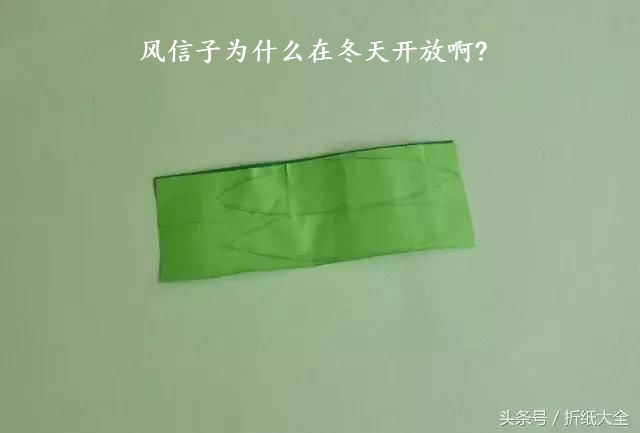 风信子为什么在冬天开放啊?
