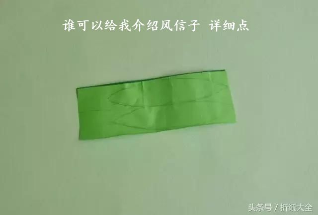 谁可以给我介绍风信子 详细点