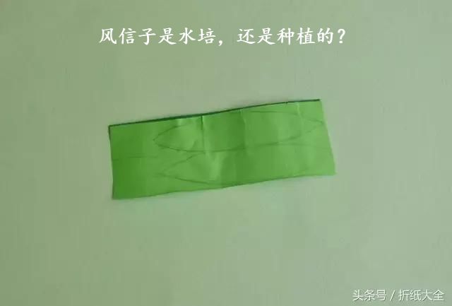 风信子是水培，还是种植的？