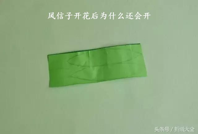 风信子开花后为什么还会开