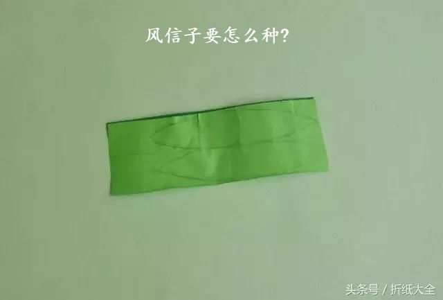 风信子要怎么种?