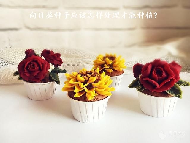 向日葵种子应该怎样处理才能种植?