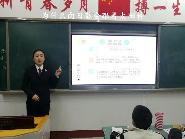 为什么向日葵会跟着太阳转