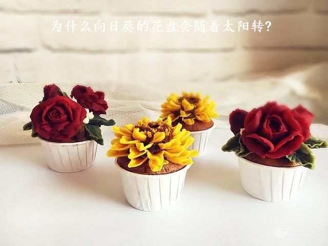 为什么向日葵的花盘会随着太阳转?