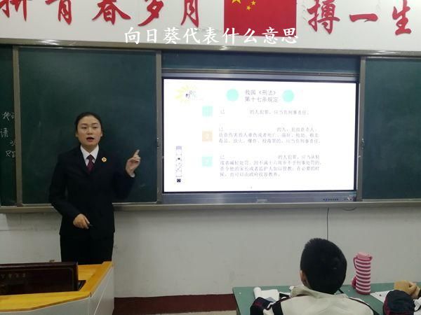 向日葵代表什么意思