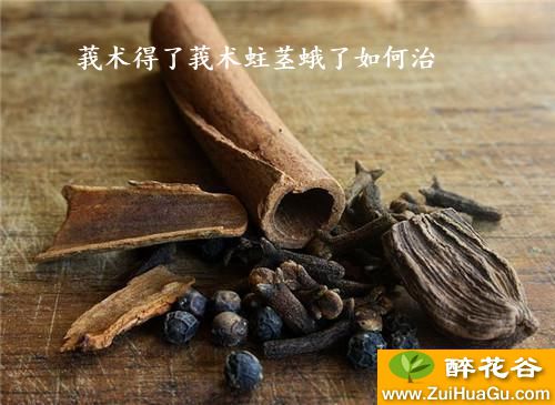 莪术得了莪术蛀茎蛾了如何治