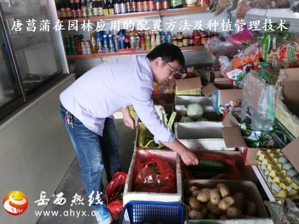 唐菖蒲在园林应用的配置方法及种植管理技术