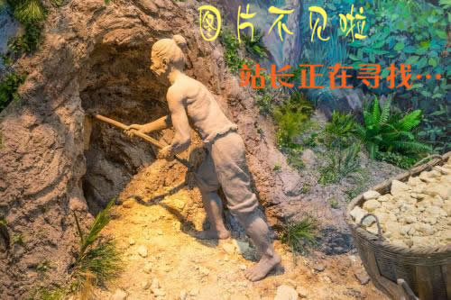 风信子怎么养呀