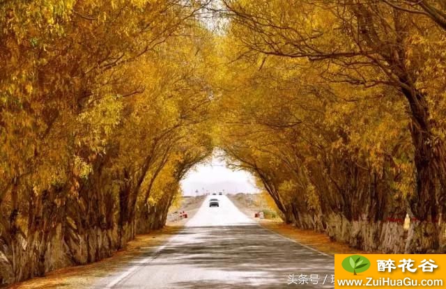他66岁,花8年时间,打造出中国最美的私家庄园