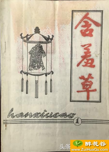 《每日一谜刊》之山东淄博沂源《含羞草》