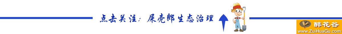 兰花浇水4加5减6免,简单易学,你懂了吗!