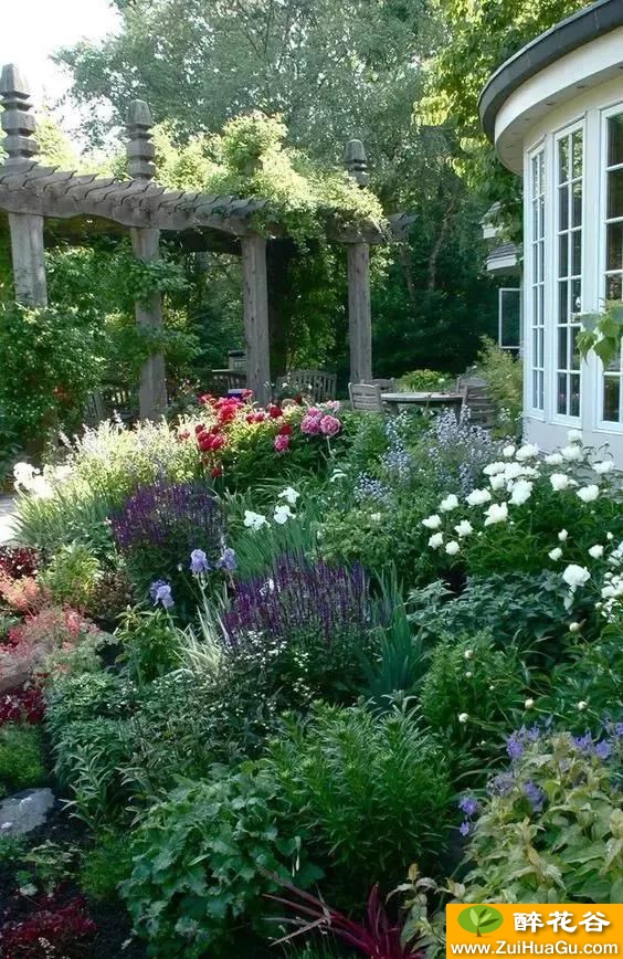 打造美丽的花园 如何营造出美丽的花境?