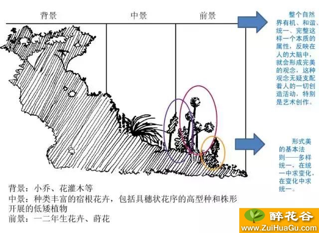 打造美丽的花园 如何营造出美丽的花境?