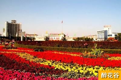 串串红、孔雀草、散尾葵,长治八一广场4万余盆鲜花喜迎'五一'