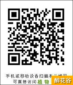 有谁知道多肉月兔耳的种植养护啊？